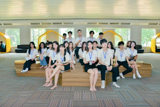 Chương trình đại học